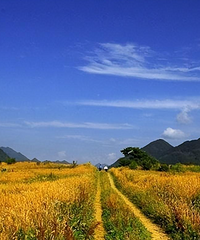 ƽ������22��ı���ʤ�أ���������90���ȥ�����˶�������