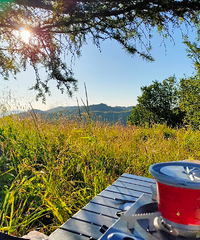 �����Ų��ţ��Լ�����������Ǯ�����η�ʽ