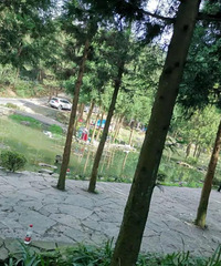 �������������Լ�·�ߣ���;����ػ��������