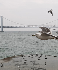 ������ɽ���纣�����˸��ֽ�ͨ������