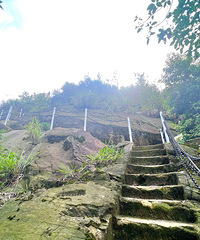 ͽ������ɽ�����ͻ�Х���������˷ʳ��໨����