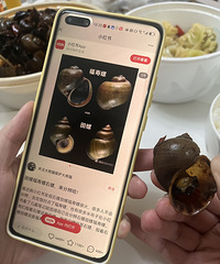 ��Ұ��ҿ�����Ȼ������ݣ������ݻ��Ǹ�����