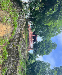 ͽ������ɽ�����ͻ�Х���������˷ʳ��໨����