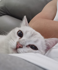 90170CM50ĸ飬ϣԷ94~98