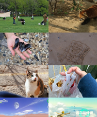 ���һ�꣬�����˺ö���������