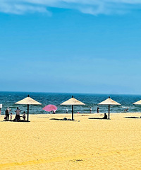 ���Ŷ���ȥ���ޡ�23�����������ǣ�������һ�����������������