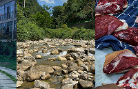 ȥḻ̌˲࣬ţ28Ԫ/