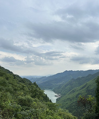 �̼���ˮ���̼�������������ʤ�����Ϫ