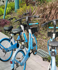 Ϊ�����˻ᣬ�ڽ����е�һ�ο��糵�ϸ��١���