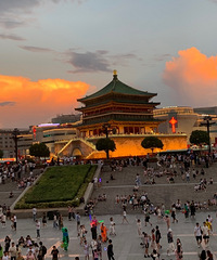 ��ʮ�����������