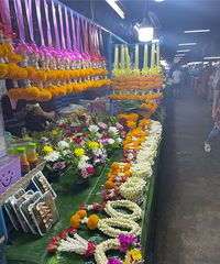 �����п�ʼ��