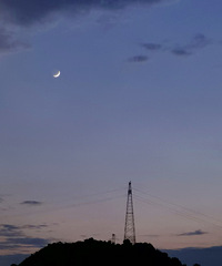 һЩϲ�����Լ��ĵ���Ƭ