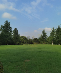 ����ҹ�������