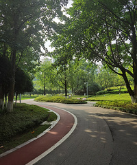 ����ҹ�������