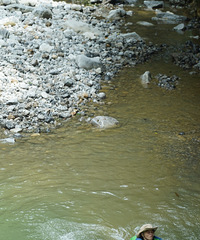 �ļ��򿨱�ȥ֮�أ��Ͽ����һ���������ɣ���������