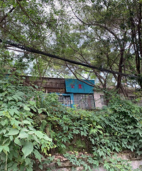 ����ɽú��Ѱ��