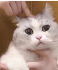 ����Ѫѹ�����ˣ�������ý�д�ľ籾��