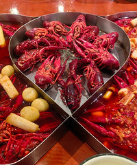 ����������������ڳԳԺȺ�Ҳ��������