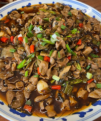 ����������������ڳԳԺȺ�Ҳ��������