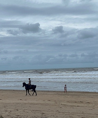 ԼݷǸۡɫϺʳԵˬĶȼ