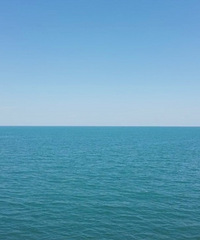 ��ʻ�����Ȼ�˴��ڵ�ֵ�ã��迨�κ������������ �ղ�