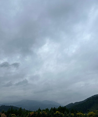 �Ž��峬�ܾ�������������