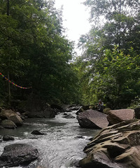 �ϴ�178���߽���ͦ�����������Լ����ջ�ͦ�󣬱Ƚ�ֵ��