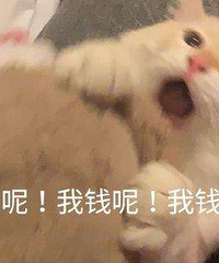 ��20��ĳ���60��ĳ�����������ж��