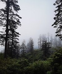 �ɶ���������ɽ��������־�Ƽ����˴塣