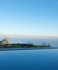 ʵʵûԼҵкۣΨһźȱ