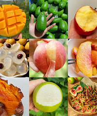 �ڲ�+�˿ͺ��������ӡ�â�����۹ϵȺü���