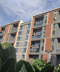 ���߲��ƺ�����վ4�����Ե��ַ������볽ͣ������