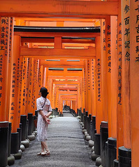 ���ż��仹���ȣ���һ�½���Ĵ��桢����֮�á�2023�����μǡ�