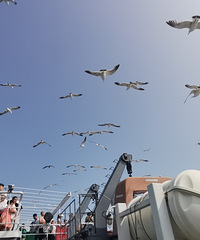 ൺ̨ܱ6Σ򿨴󺣡ɽ