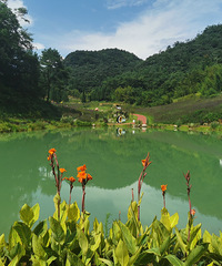 ��ɽˣˮ�����ܸ������ӵ������ʹ���Ȼ�����������ж�ͯ��԰��