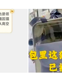 成都17岁虐杀动物惯犯全网曝光