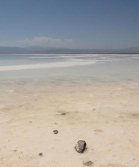 ȥ��������10��ȥ�����͵���ȥ�˴����й�