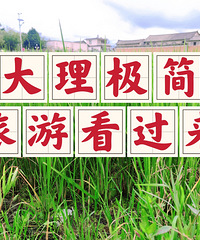 ���ϴ����������ο�����