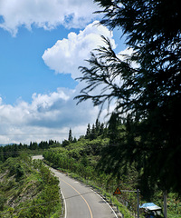 �ڷᶼ�ҵ�����ʥ�أ�����20��C����ɽ������ɫ��ʳ��