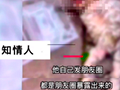 17岁虐杀动物惯犯