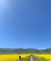 93��162CM����Ы���������飬ϣ���Է������̡���ר������