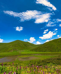 �������ȥ�˴����Ĳ�ԭ�����˸��ϵĻ���ת���ຣ�ĺ�