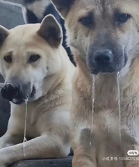 ��������������ŵ������ˣ���Щ����·�϶��ǲ�Ҫ������