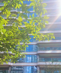 ���쿴���ռ�2:���ɳ�