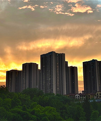 ����ѡ������Ҫ������ת���������