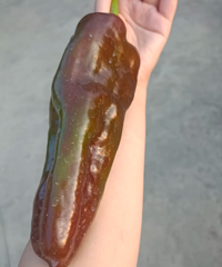 ��������ж�󣬲ο�һ���ҵ��ֱ�