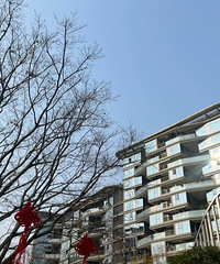 ���쿴���ռ�3.�山����ĸɽ���Ƭ����ƽ��