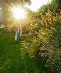 ϳܲչһ羰Ĺ԰ϧûм飡