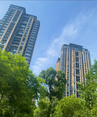 ���쿴���ռǣ���Ÿ��������