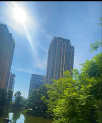 ���쿴���ռǣ���Ÿ��������